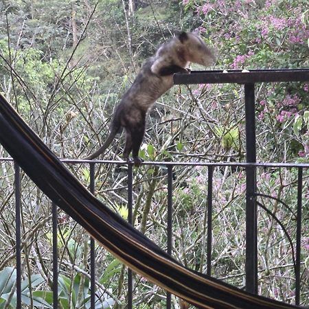 El Valle De Anton La Chachalaca エクステリア 写真