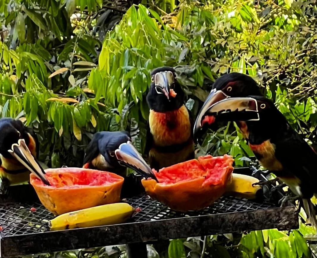 El Valle De Anton La Chachalaca エクステリア 写真